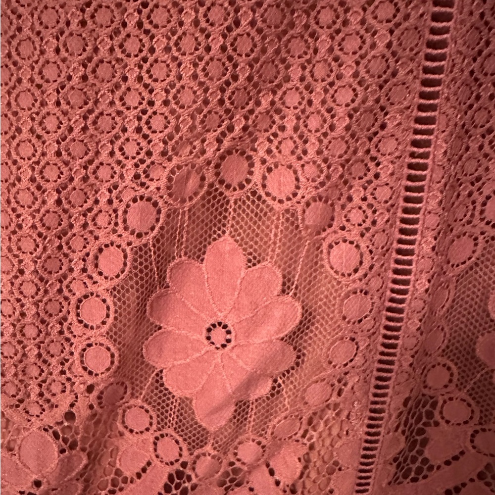 Cupcake and Cashmere Lace Dress - Picture 2 of 5